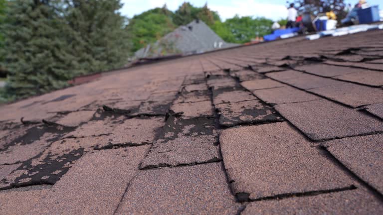 Steel Roofing in Oakfield, WI