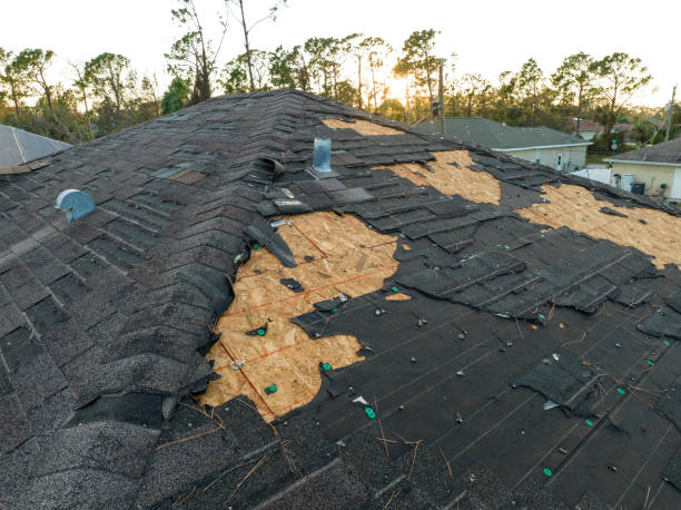 Best Asphalt Shingles Roofing  in Oakfield, WI