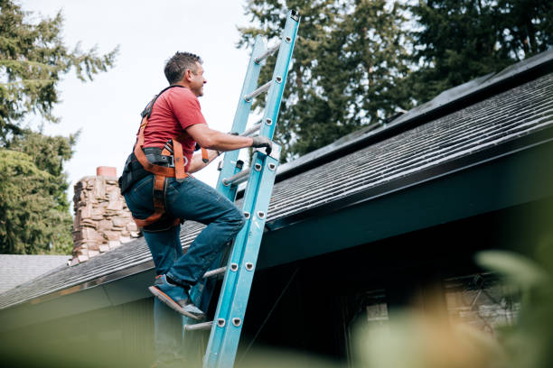 Best Roof Insulation Installation  in Oakfield, WI
